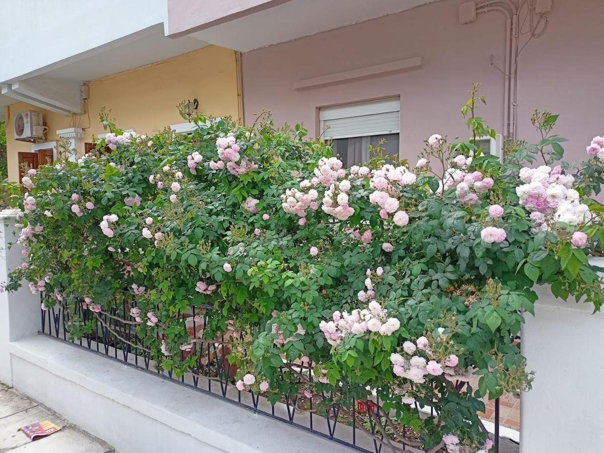 דירות Family House Kos Down Town מראה חיצוני תמונה
